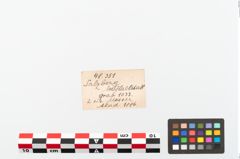 Foto von Eisengriffangelmesser (NHMW-PRAE-048351)